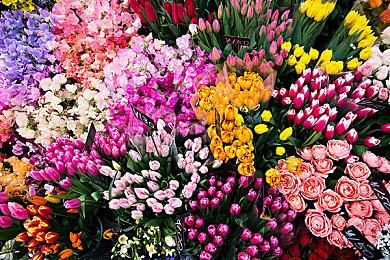 游戏王新手游《游戏王Cross Duel》开启封闭B测申请