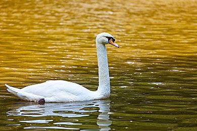 G胖谈游戏创作：真实性不应该是游戏的首选因素